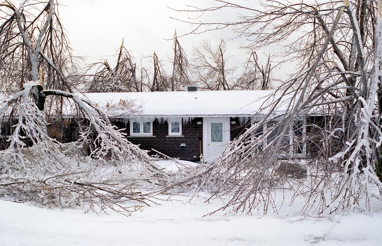 black house surrounded by snow and trees with overgrown branches